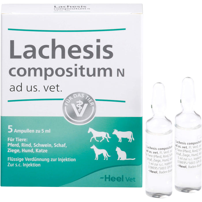 Heel Lachesis compositum N ad us.vet flüssige Verdünnung für Pferd, Rind, Schwein, Schaf, Ziege, Hund und Katze, 5 pcs. Ampoules