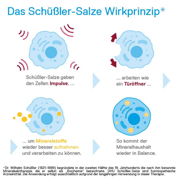 DHU Schüßler-Salz Nr. 7 Magnesium phosphoricum D12 – Das Mineralsalz der Muskeln und Nerven – das Original – umweltfreundlich im Arzneiglas, 200 pcs. Tablets