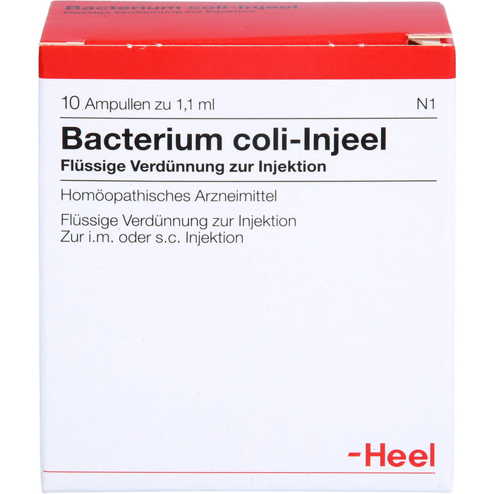 Bacterium coli-Injeel flüssige Verdünnung zur Injektion, 10 pc Ampoules