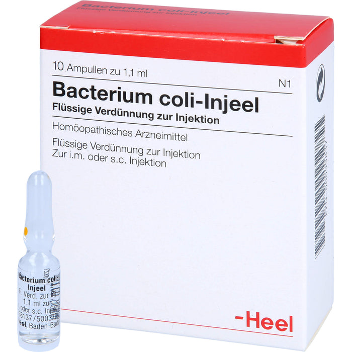 Bacterium coli-Injeel flüssige Verdünnung zur Injektion, 10 pc Ampoules