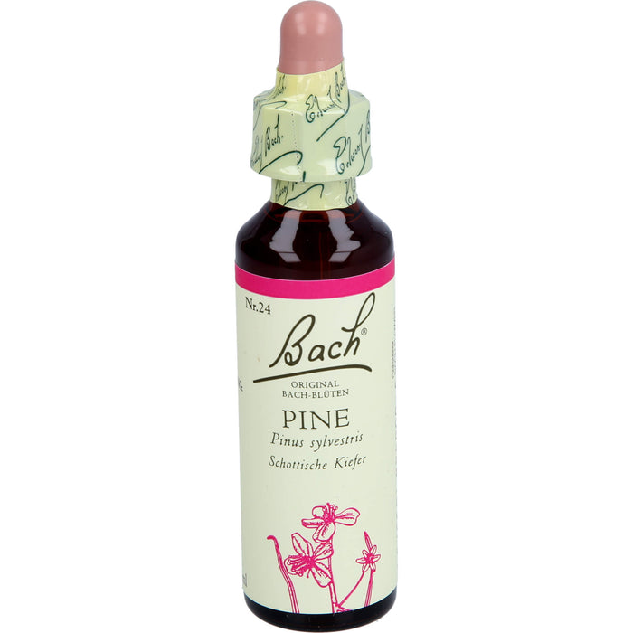 Bach-Blüte Pine, 20 ml Lösung