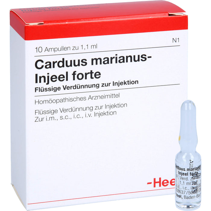 Carduus marianus Injeel forte Amp., 10 St AMP