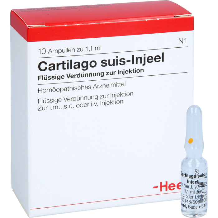 Cartilago suis-Injeel Ampullen, 10 pcs. Ampoules