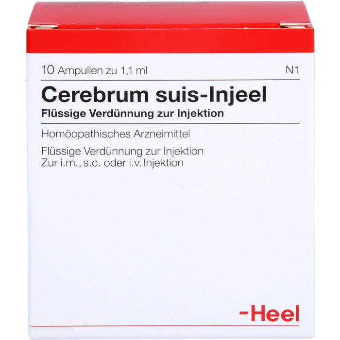 Cerebrum suis-Injeel flüssige Verdünnung, 10 pc Ampoules