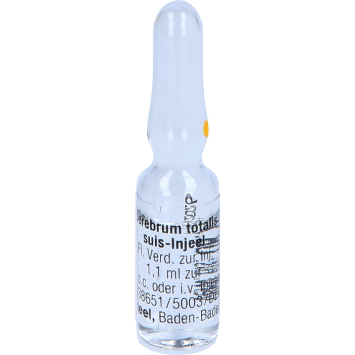 Cerebrum Totalis Suis Injeel flüssige Verdünnung, 10 pcs. Ampoules