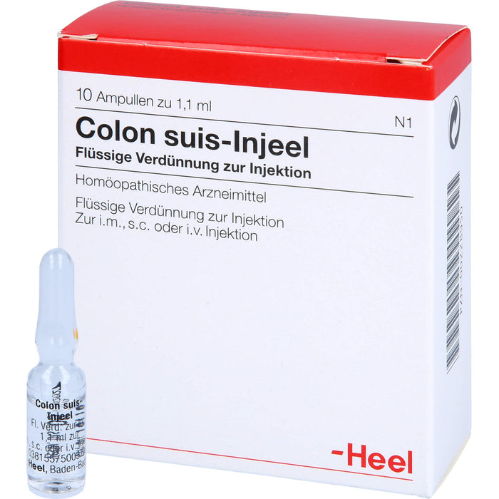 Colon suis-Injeel Inj.-Lsg., 10 St AMP