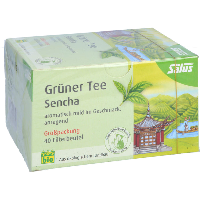 Grüner Tee Grosspackung bio Salus, 40 St FBE