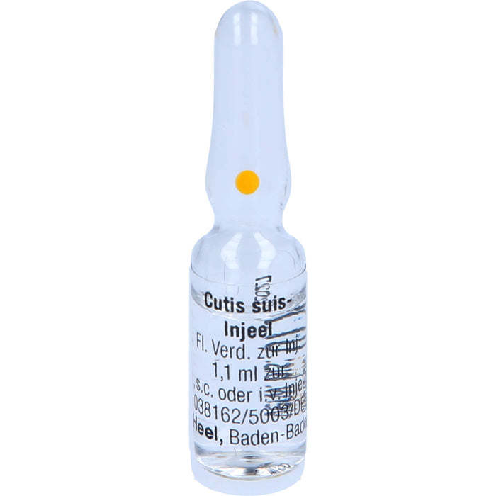 Cutis suis-Injeel Inj.-Lsg., 10 pc Ampoules