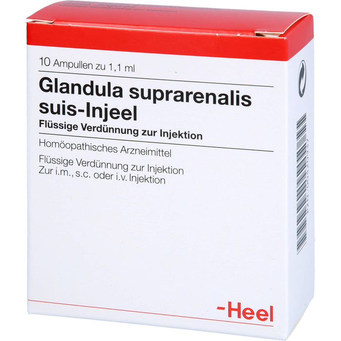 Glandula suprarenalis suis-Injeel Ampullen, 10 pcs. Ampoules