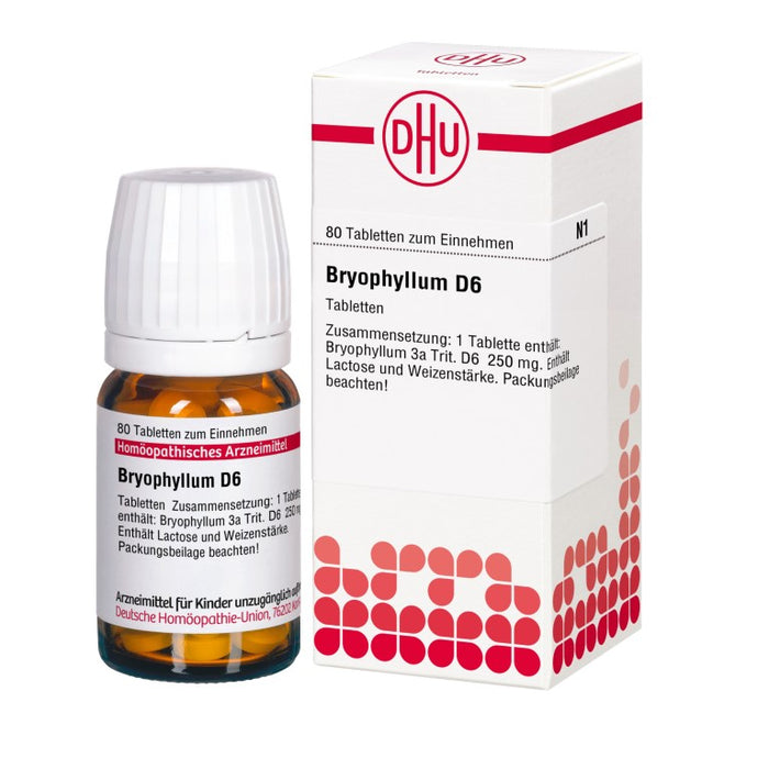 DHU Bryophyllum D6 Tabletten, 80 St. Tabletten