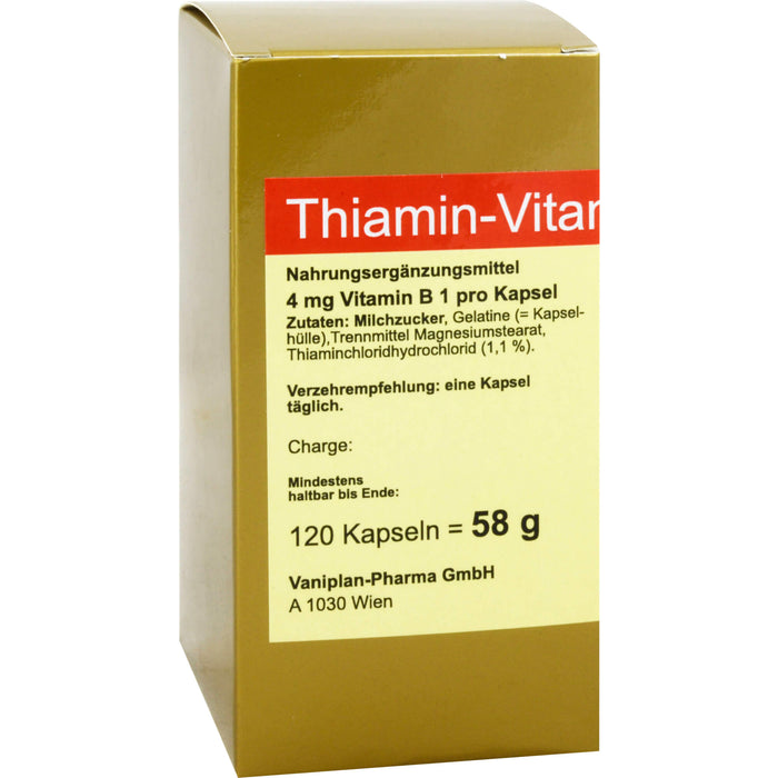 FBK-Pharma Thiamin-Vitamin B1 Kapseln, 120 pc Capsules