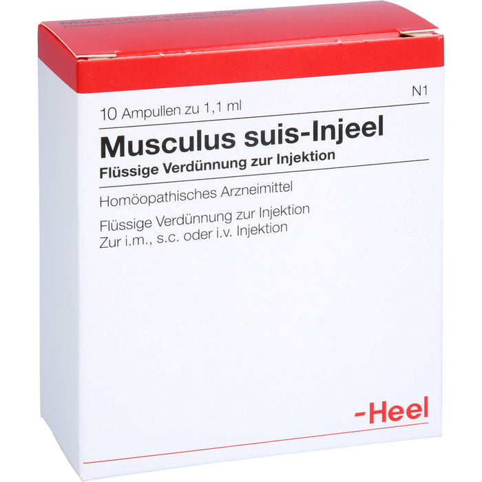 Musculus suis-Injeel Inj.-Lsg., 10 St AMP