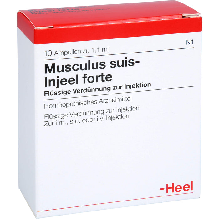 Musculus suis-Injeel forte flüssige Verdünnung, 10 pc Ampoules