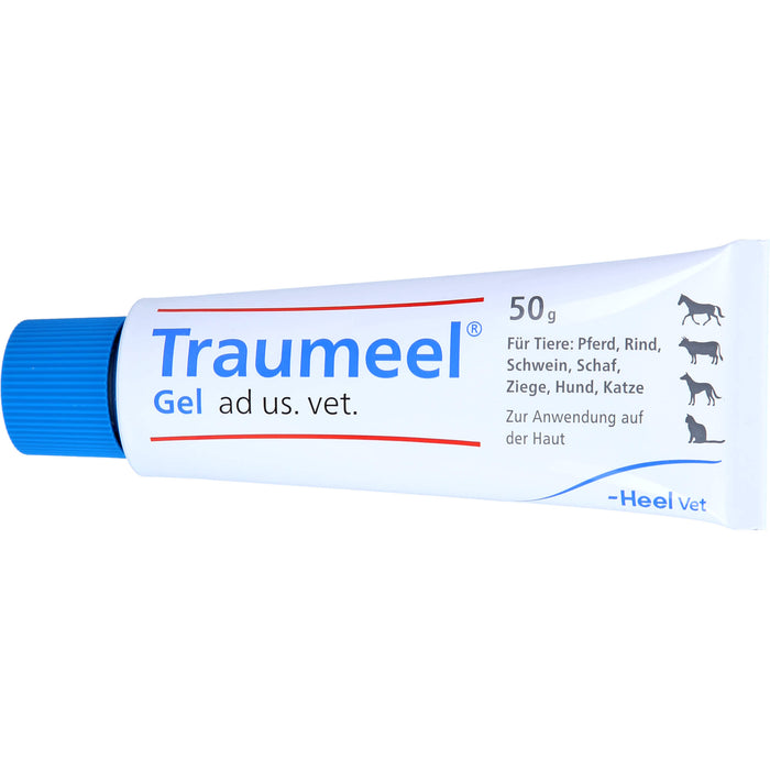 Traumeel Gel ad us. vet., 50 g Gel