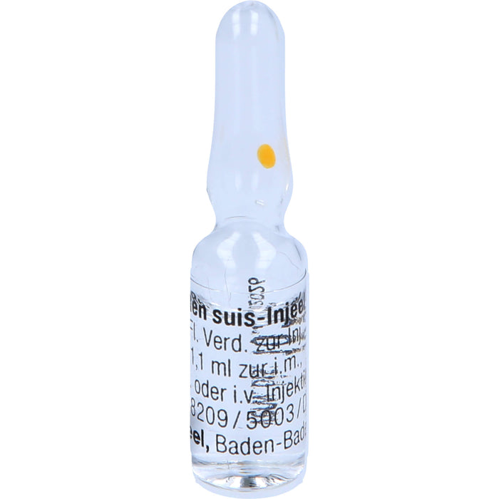 Ren suis-Injeel Injektionslösung, 10 pcs. Ampoules