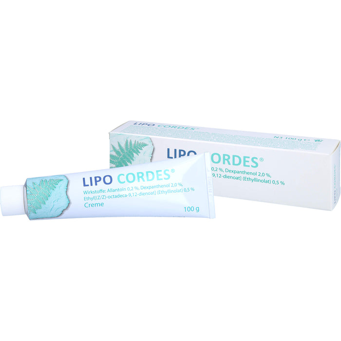 LIPO CORDES Creme bei fettarmer Haut, 100 g Creme