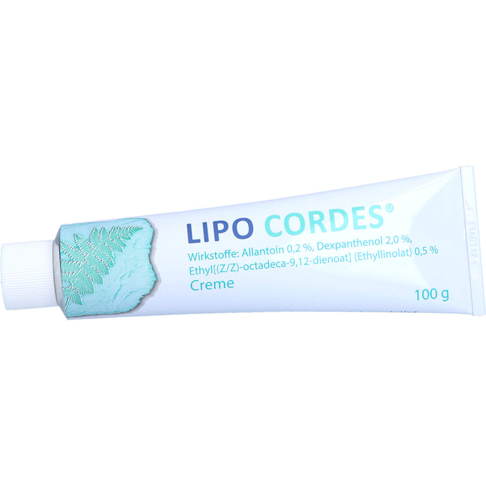 LIPO CORDES Creme bei fettarmer Haut, 100 g Crème