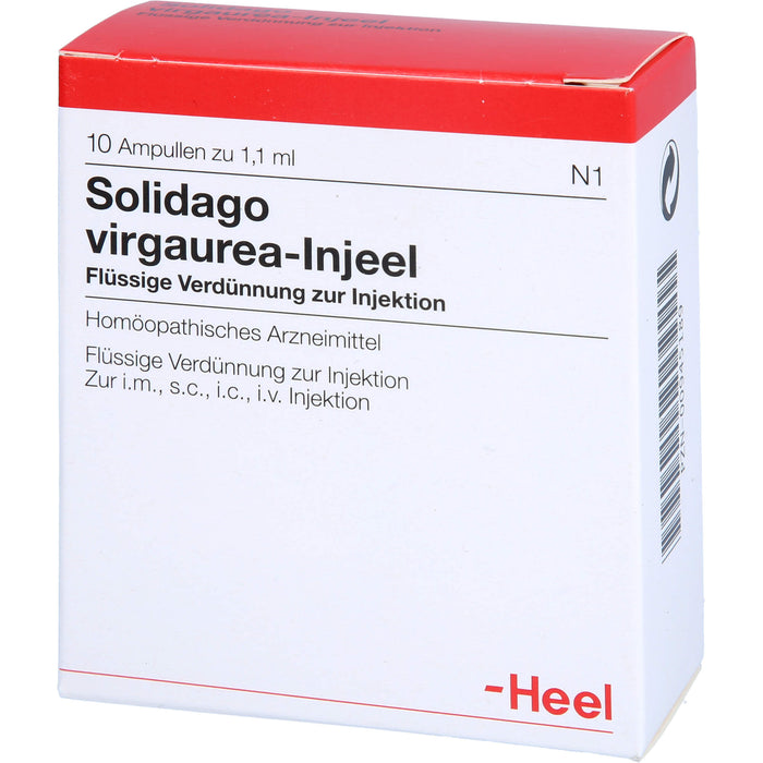 Solidago Virgaurea Injeel Amp., 10 St AMP