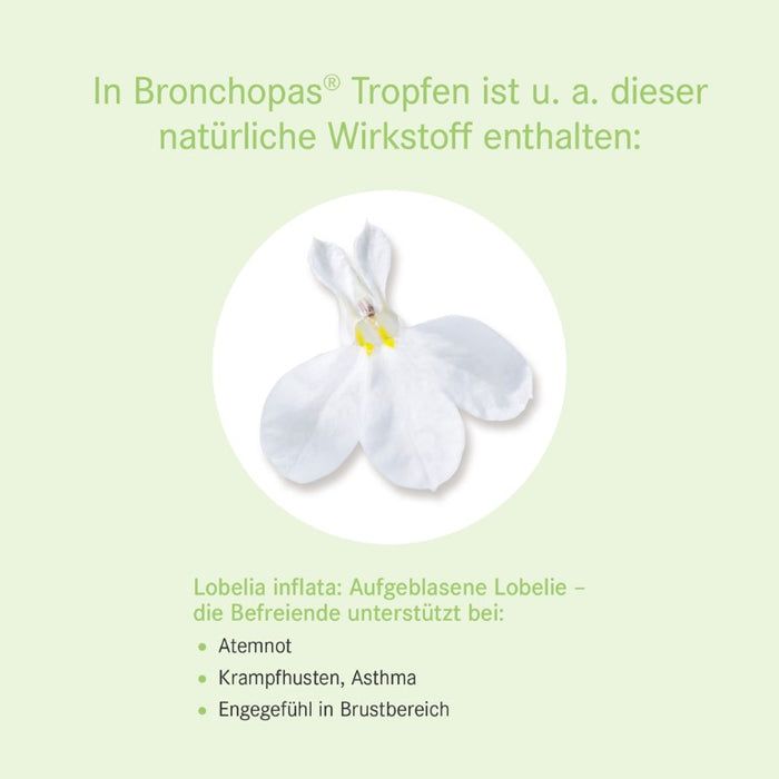 Pascoe Bronchopas Tropfen bei krampfartigem Husten, 50 ml Lösung