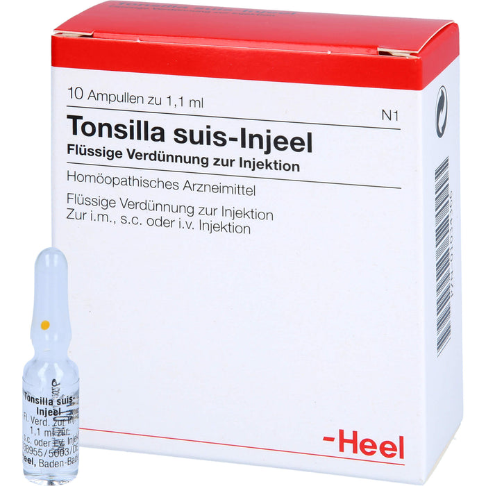 Tonsilla suis Injeel Amp., 10 St AMP