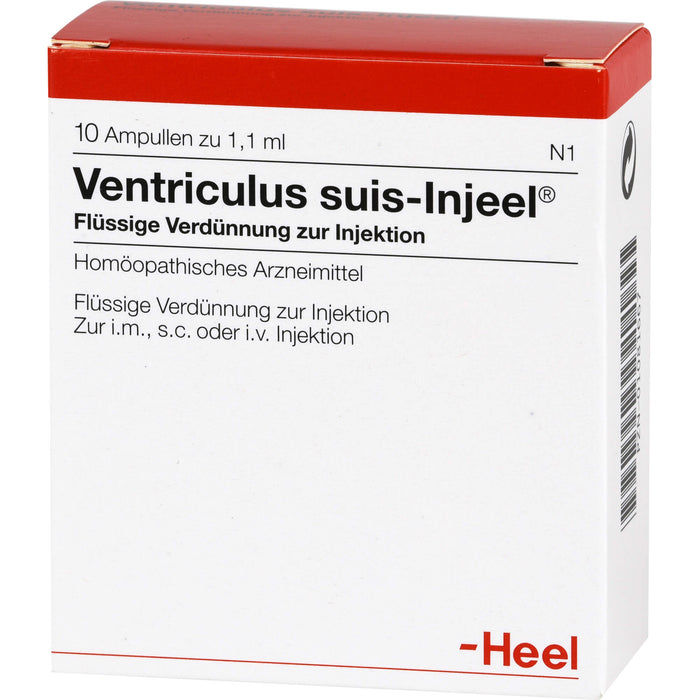 Ventriculus suis-Injeel flüssige Verdünnung, 10 pcs. Ampoules