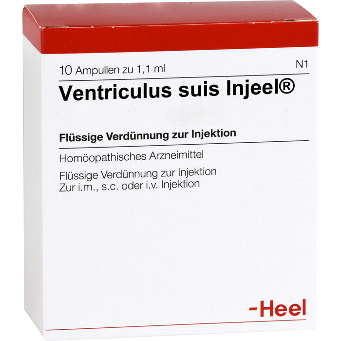 Ventriculus suis-Injeel flüssige Verdünnung, 10 pcs. Ampoules