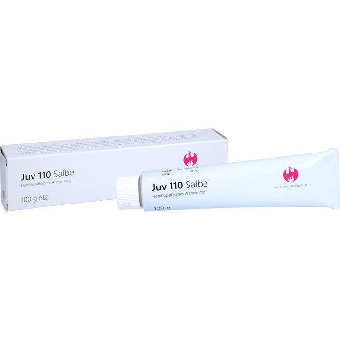 Juv 110 Salbe, 100 g Salbe