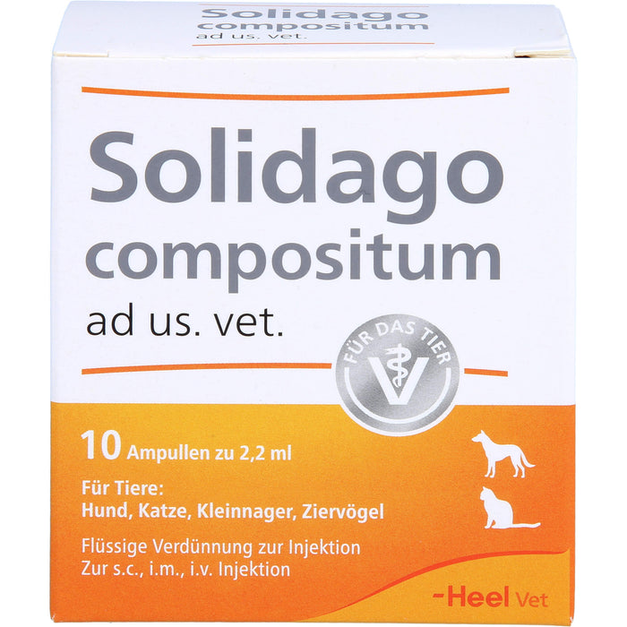 Solidago compositum ad us. vet. Ampullen für Tiere, 10 pc Ampoules