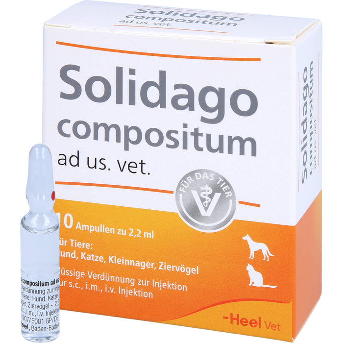 Solidago compositum ad us. vet. Ampullen für Tiere, 10 pc Ampoules