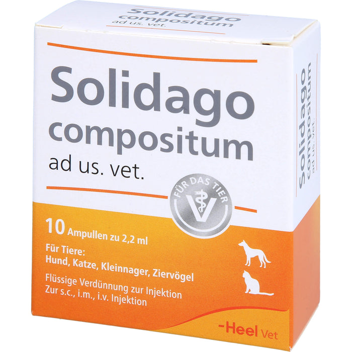 Solidago compositum ad us. vet. Ampullen für Tiere, 10 pc Ampoules