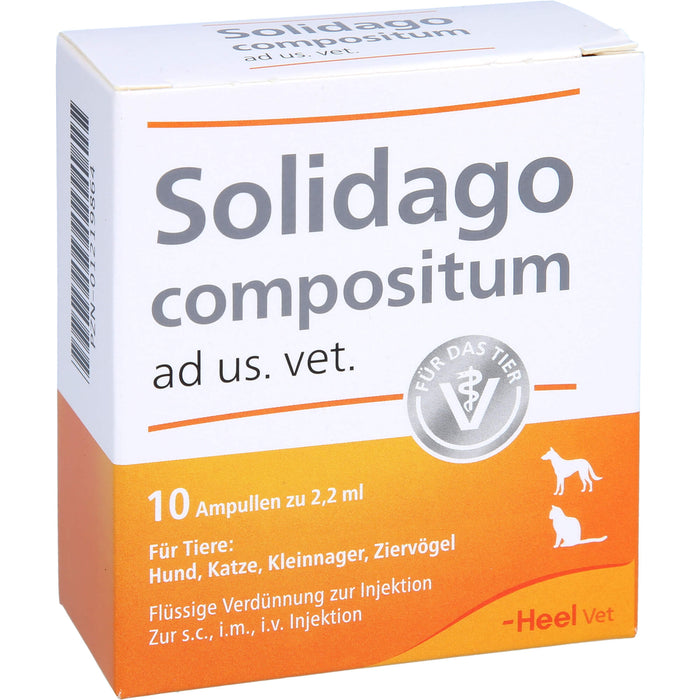 Solidago compositum ad us. vet. Ampullen für Tiere, 10 pc Ampoules