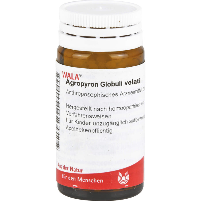 WALA Agropyron Globuli velati, 20 g Globuli