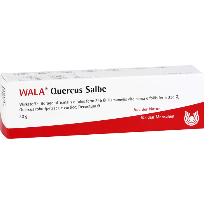 WALA Quercus Salbe bei Hämorrhoiden, 30 g Salbe