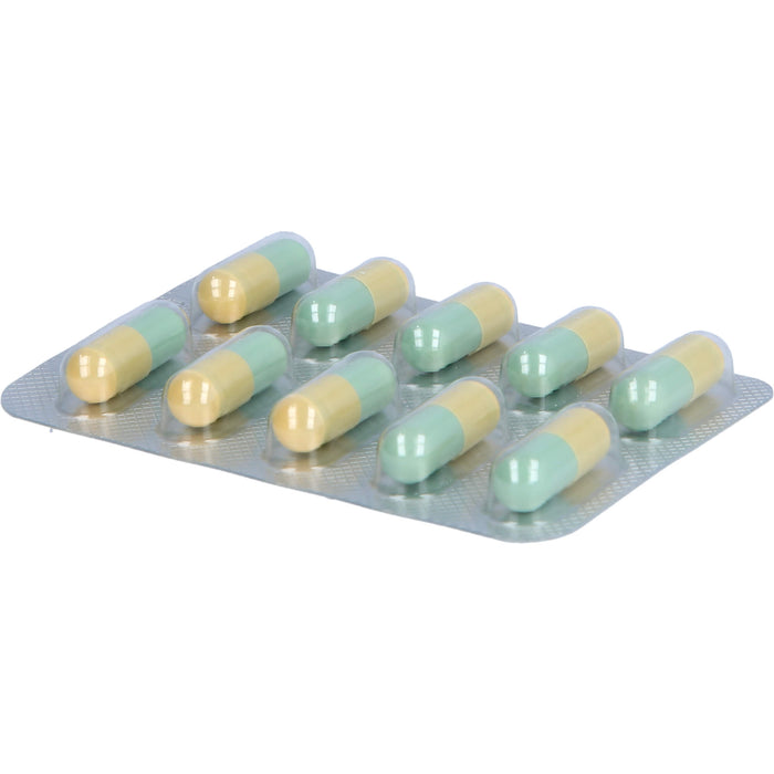 Yomogi Hartkapseln, 20 pc Capsules