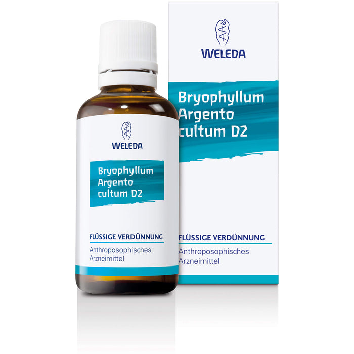 WELEDA Bryophyllum Argento cultum D3 flüssige Verdünnung, 50 ml Solution