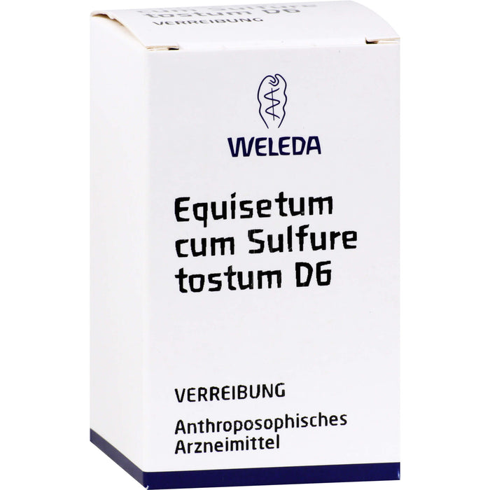 WELEDA Equisetum cum Sulfure tostum D6 Verreibung, 20 g Powder