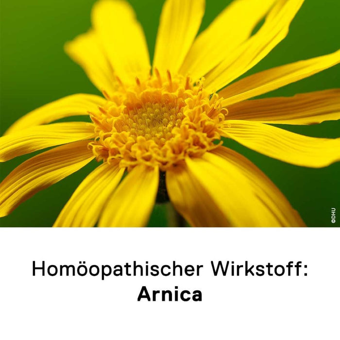 DHU Arnica D6 Streukügelchen, 10 g Globules