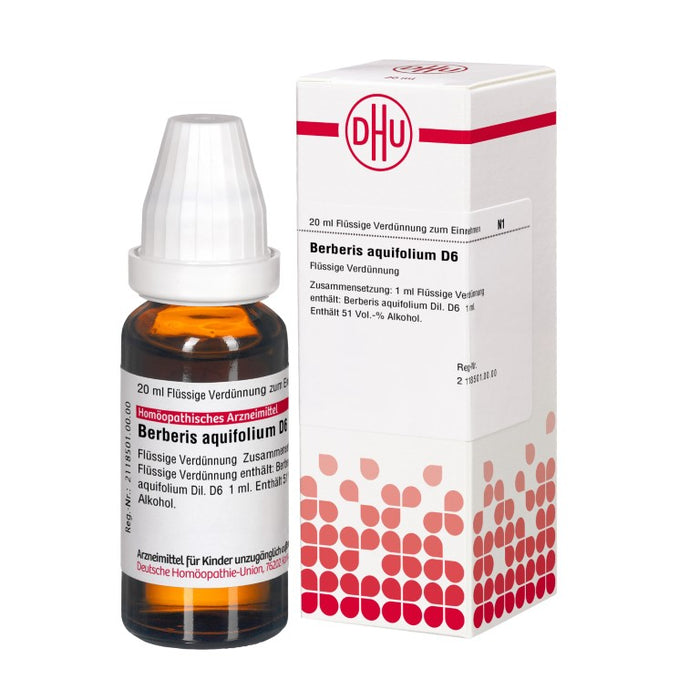 Berberis aquifolium D6 DHU Dilution, 20 ml Lösung