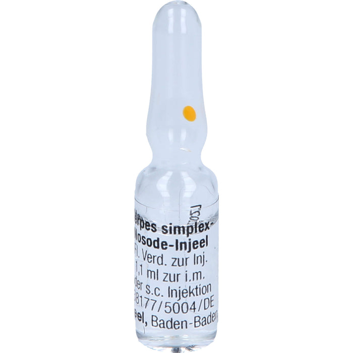 Herpes simplex-Nosode-Injeel Ampullen, 10 pcs. Ampoules