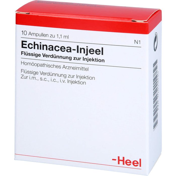 Echinacea-Injeel flüssige Verdünnung, 10 pcs. Ampoules