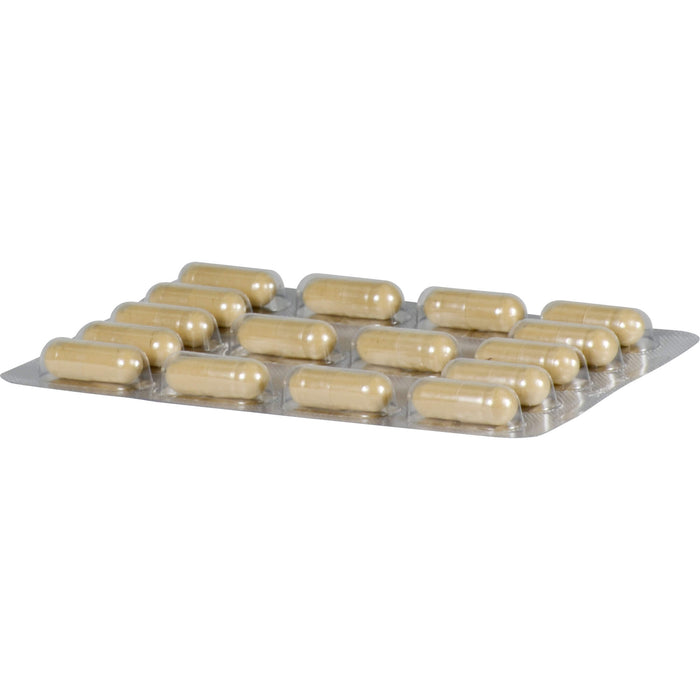 BULLRICH Heilerde Kapseln, 48 pc Capsules