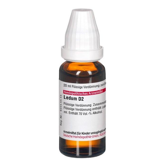 DHU Ledum D2 Dilution, 20 ml Lösung