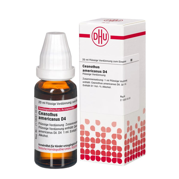 DHU Ceanothus americanus D4 Dilution, 20 ml Lösung