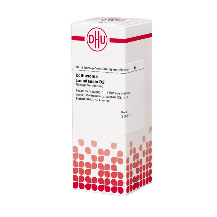 DHU Collinsonia canadensis D2 Dilution, 20 ml Lösung