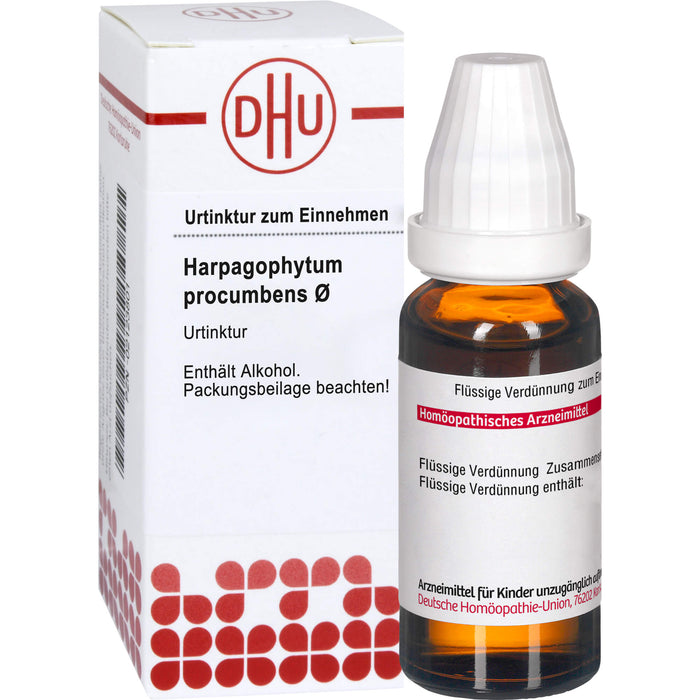 Harpagophytum procumbens Urtinktur D1 DHU, 20 ml Lösung