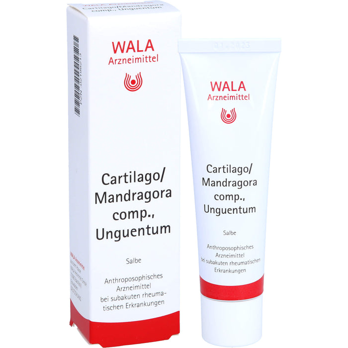 WALA Cartilago/Mandragora comp. Salbe bei subakuten rheumatischen Erkrankungen, 30 g Onguent