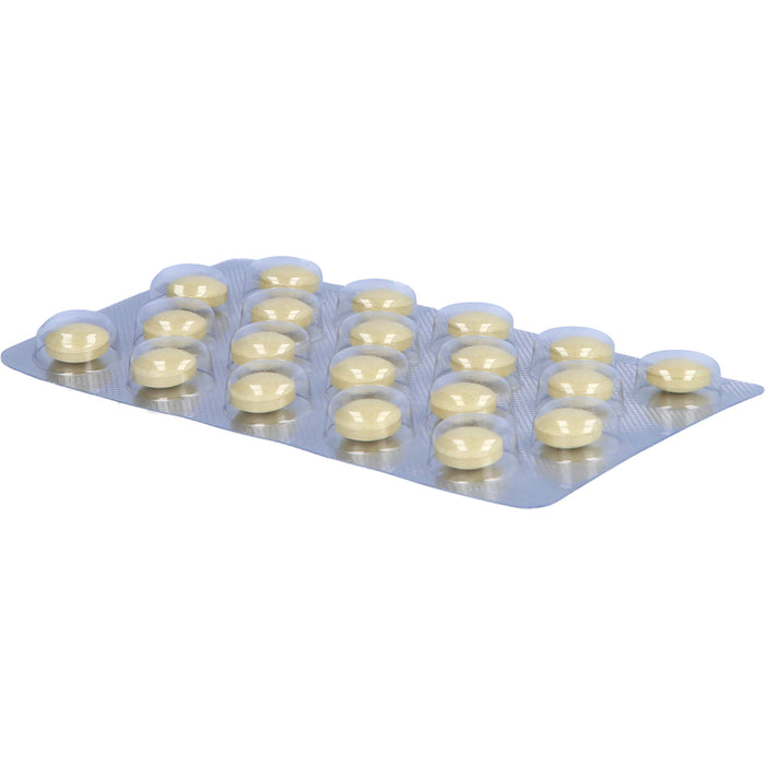 KaRazym Tabletten zur Stärkung des Immunsystems, 100 pc Tablettes