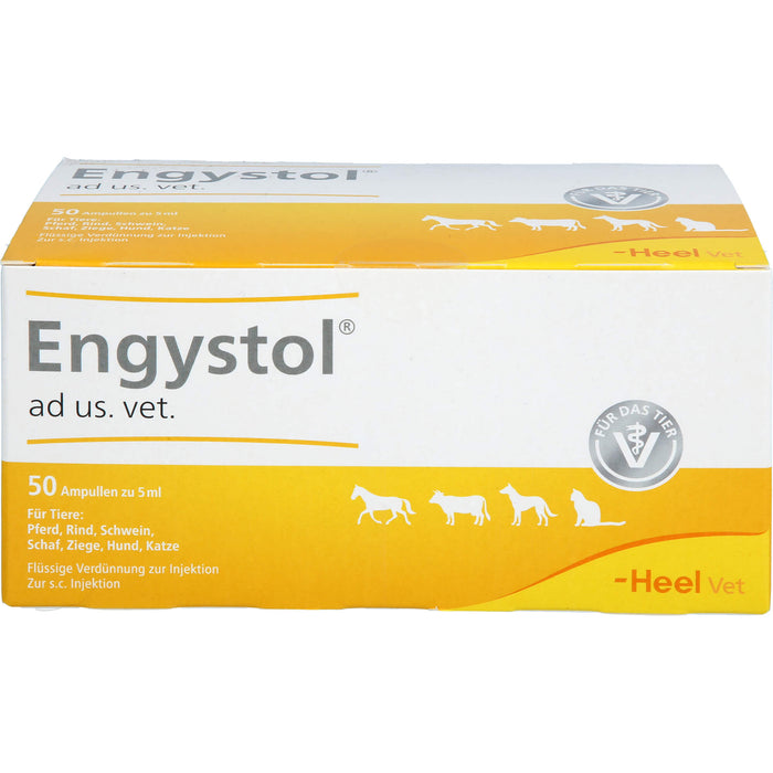 Engystol ad us. vet. Ampullen, 50 pcs. Ampoules