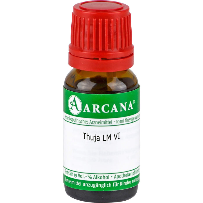 Thuja Arcana LM 6 Dilution, 10 ml DIL