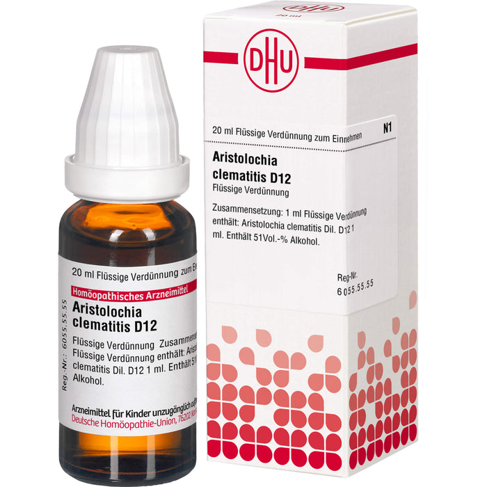 DHU Aristolochia clematitis D12 Dilution, 20 ml Lösung